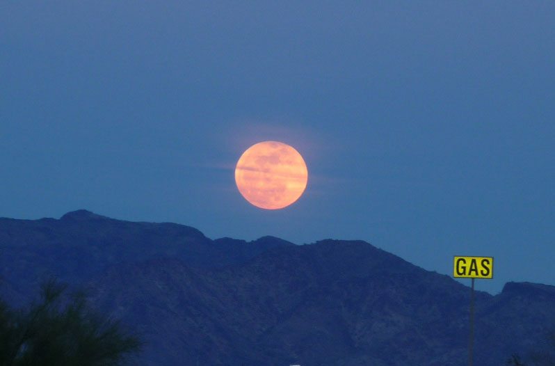 harvest moon