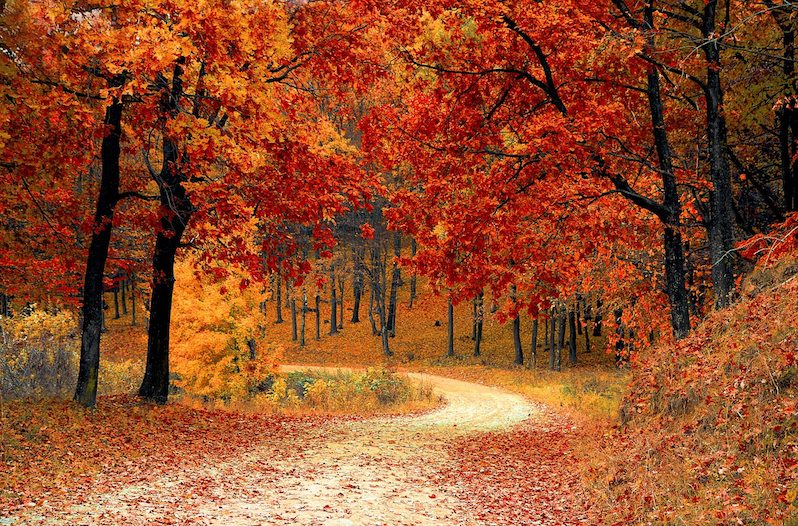 Southern Fall Traditions