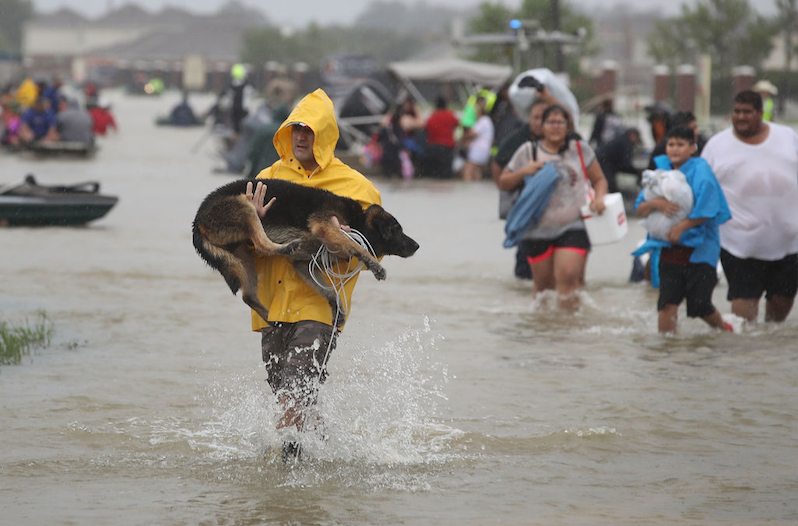 Hurricane Harvey