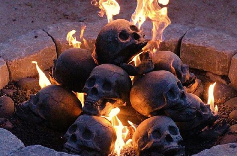 skull logs