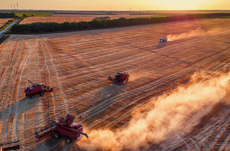 harvest time