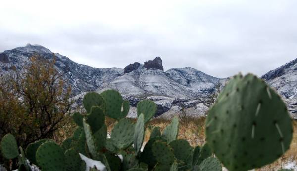 winter vacations in texas