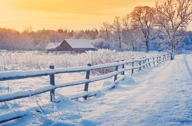 arctic blast