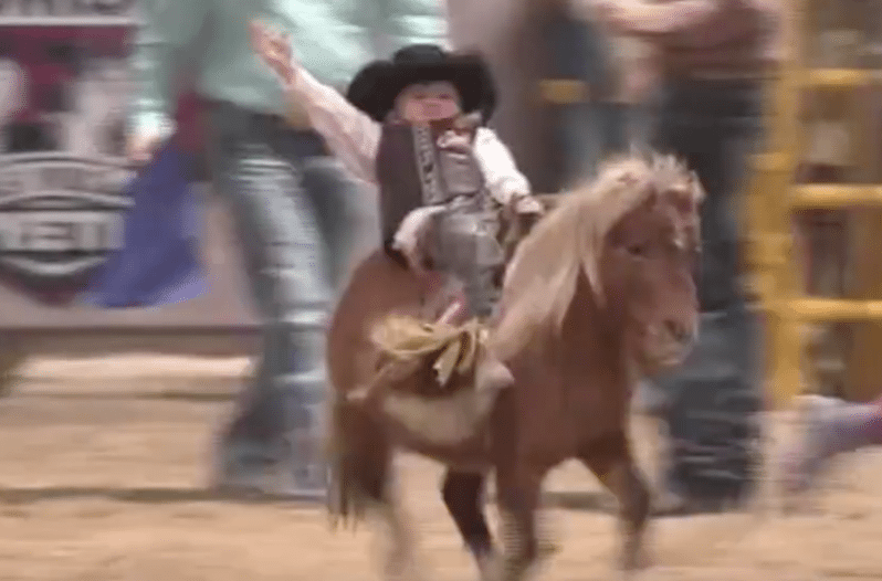 bronc ryder