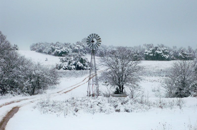 white Christmas