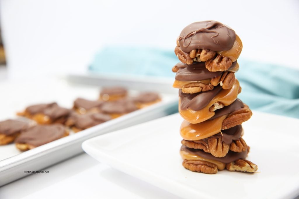 Homemade-Turtles