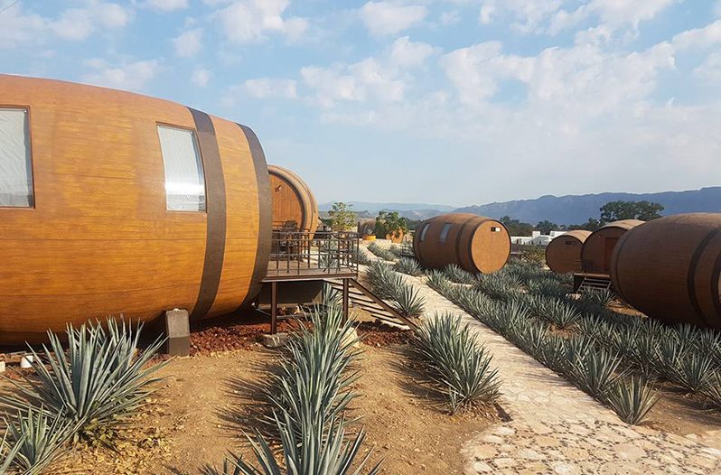 tequila