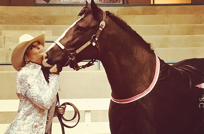 Miranda Lambert Gypsy Vanner
