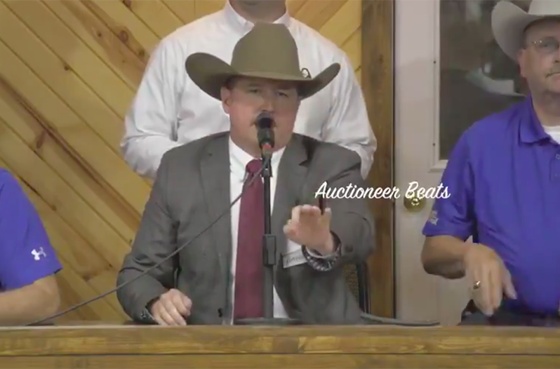Auctioneer Beats