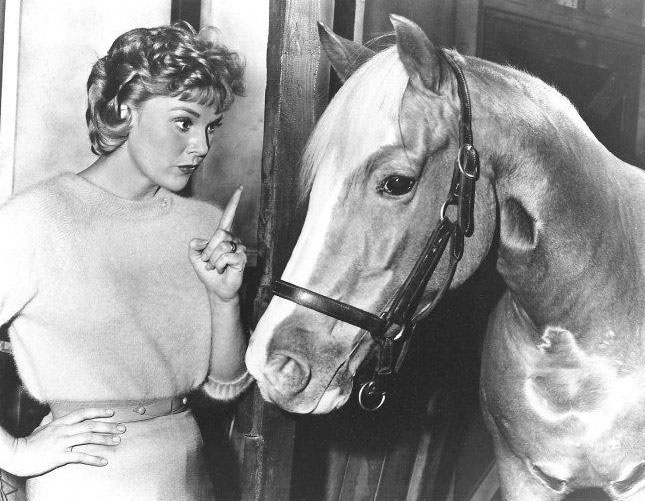 Mr Ed the Talking Horse
