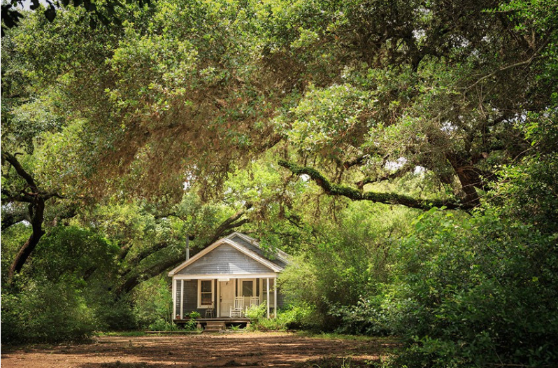 bed and breakfast in texas