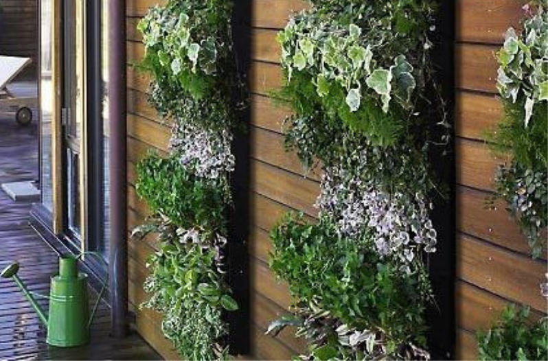 Vertical Garden