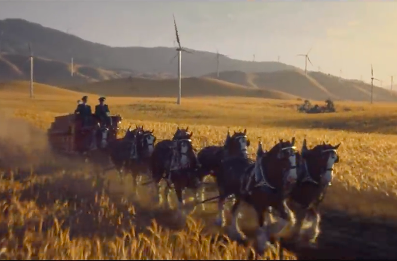 Budweiser Super Bowl 2019