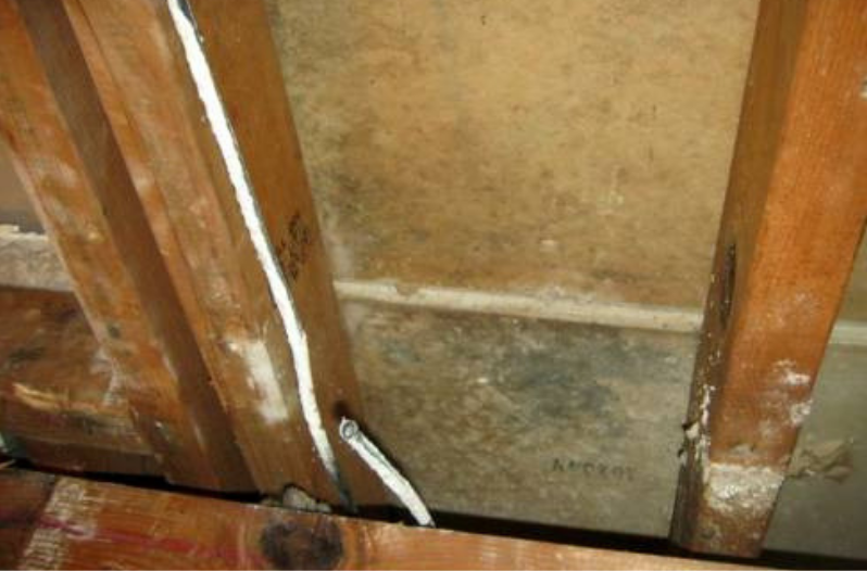 Types of Mold