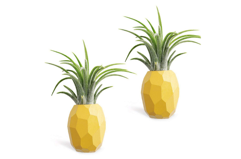 Unique Planters