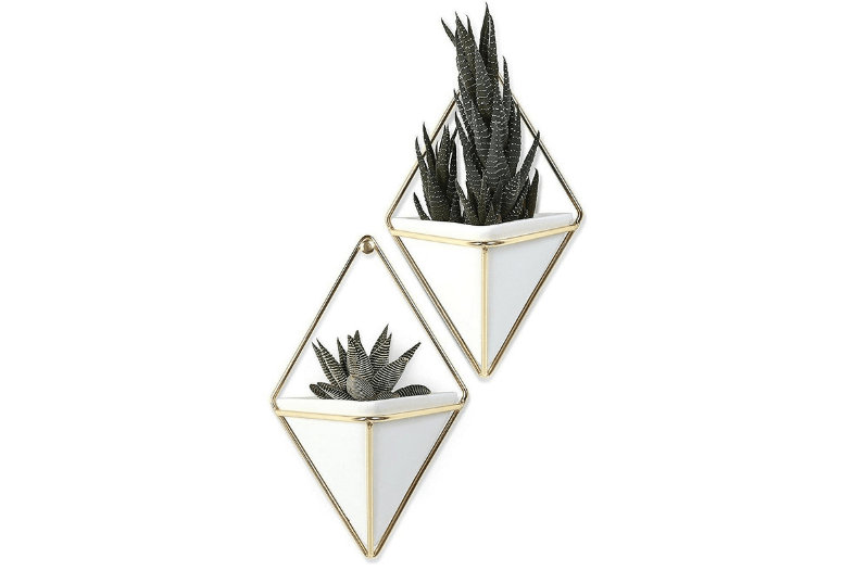 Unique Planters