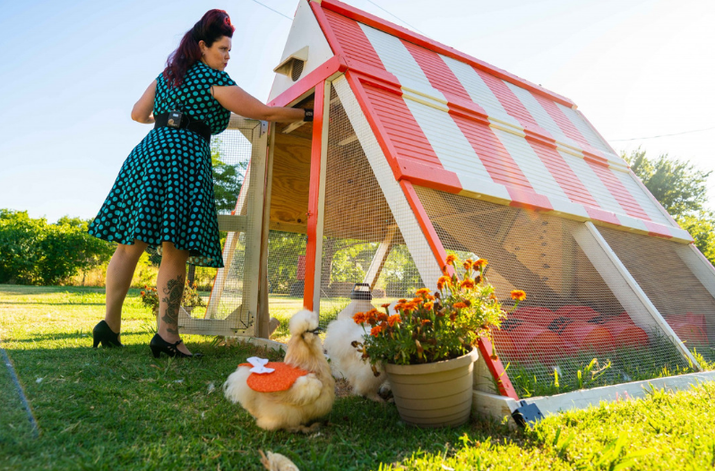 Whataburger Chicken Coop