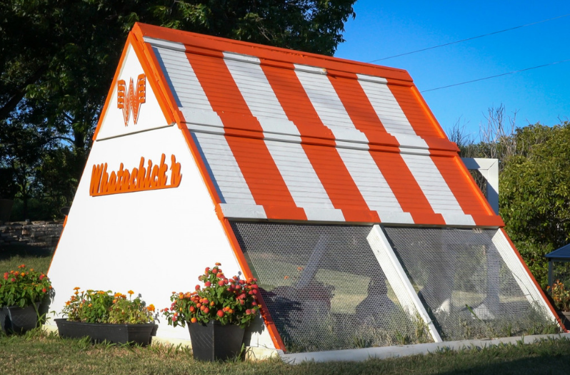 Whataburger Chicken Coop