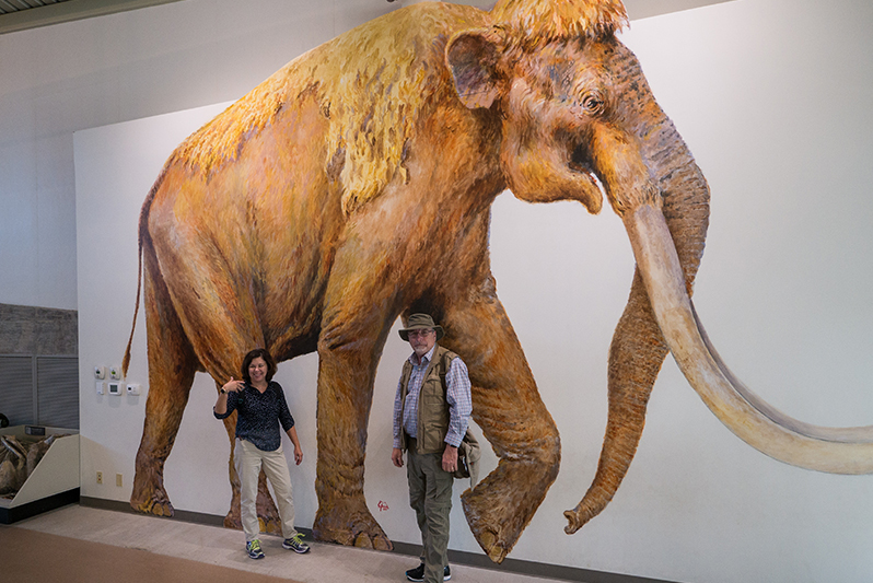 Waco Mammoth National Monument