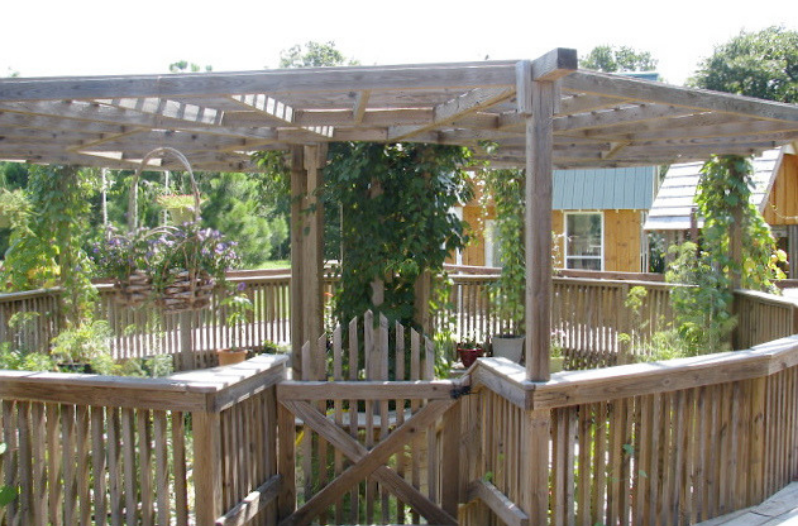 DIY Backyard Pergola