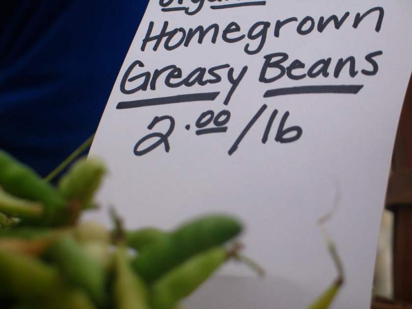 greasy beans