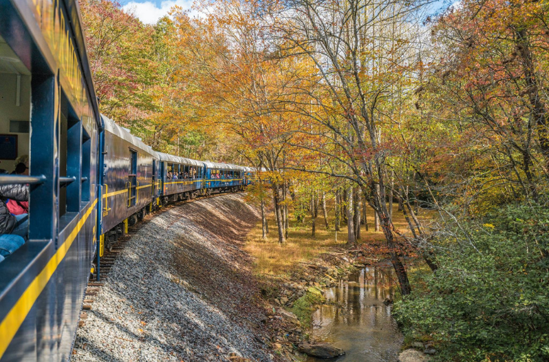 Blue Ridge Scenic Railway