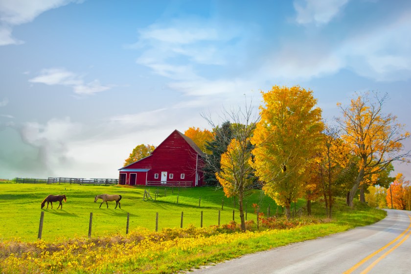 Barns of Northern Michigan