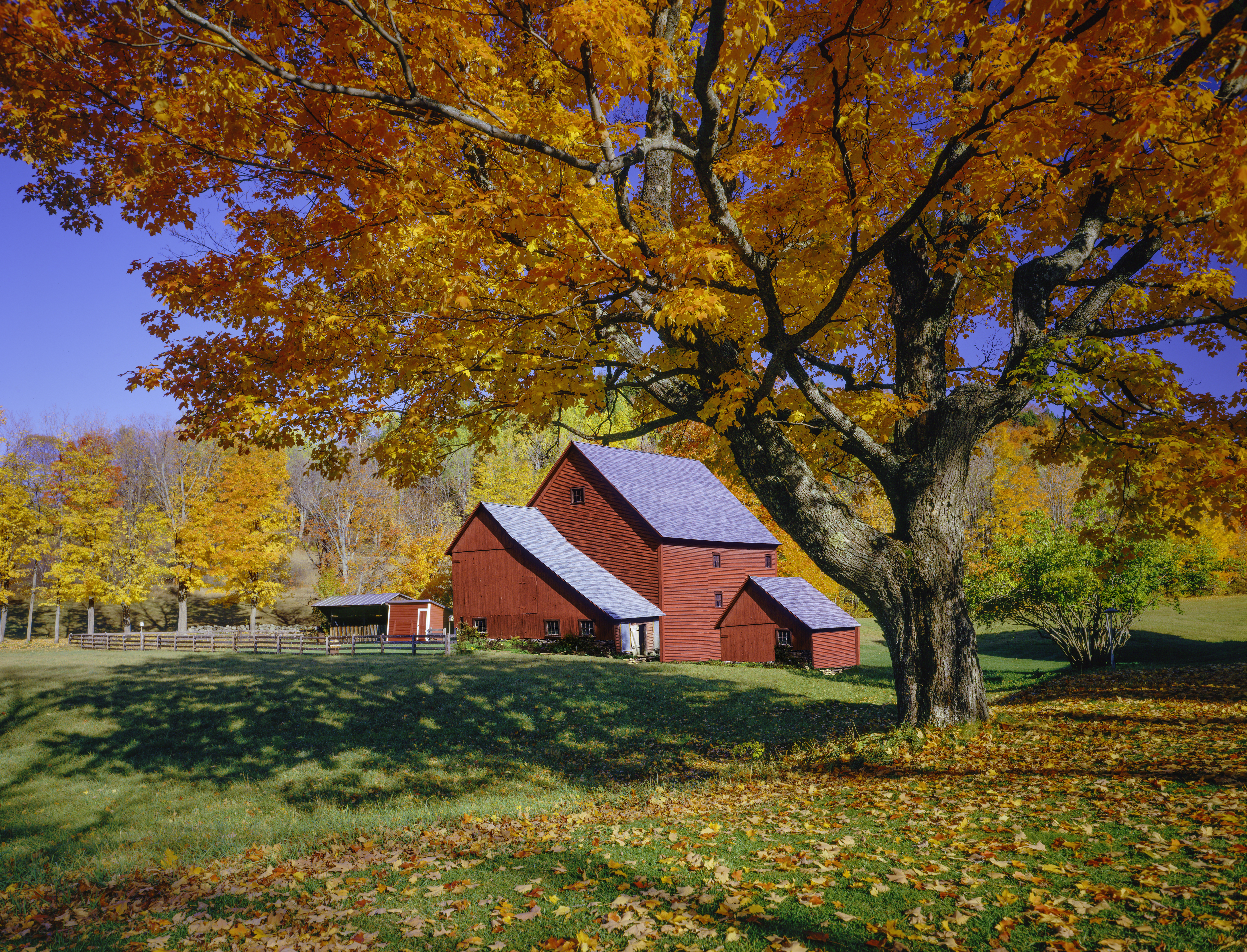 Vermont autumn