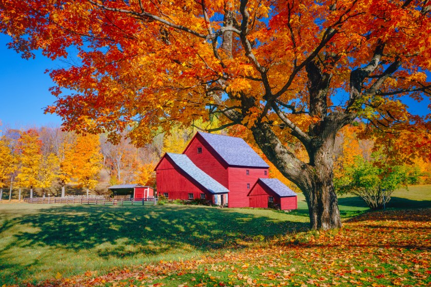 Vermont autumn