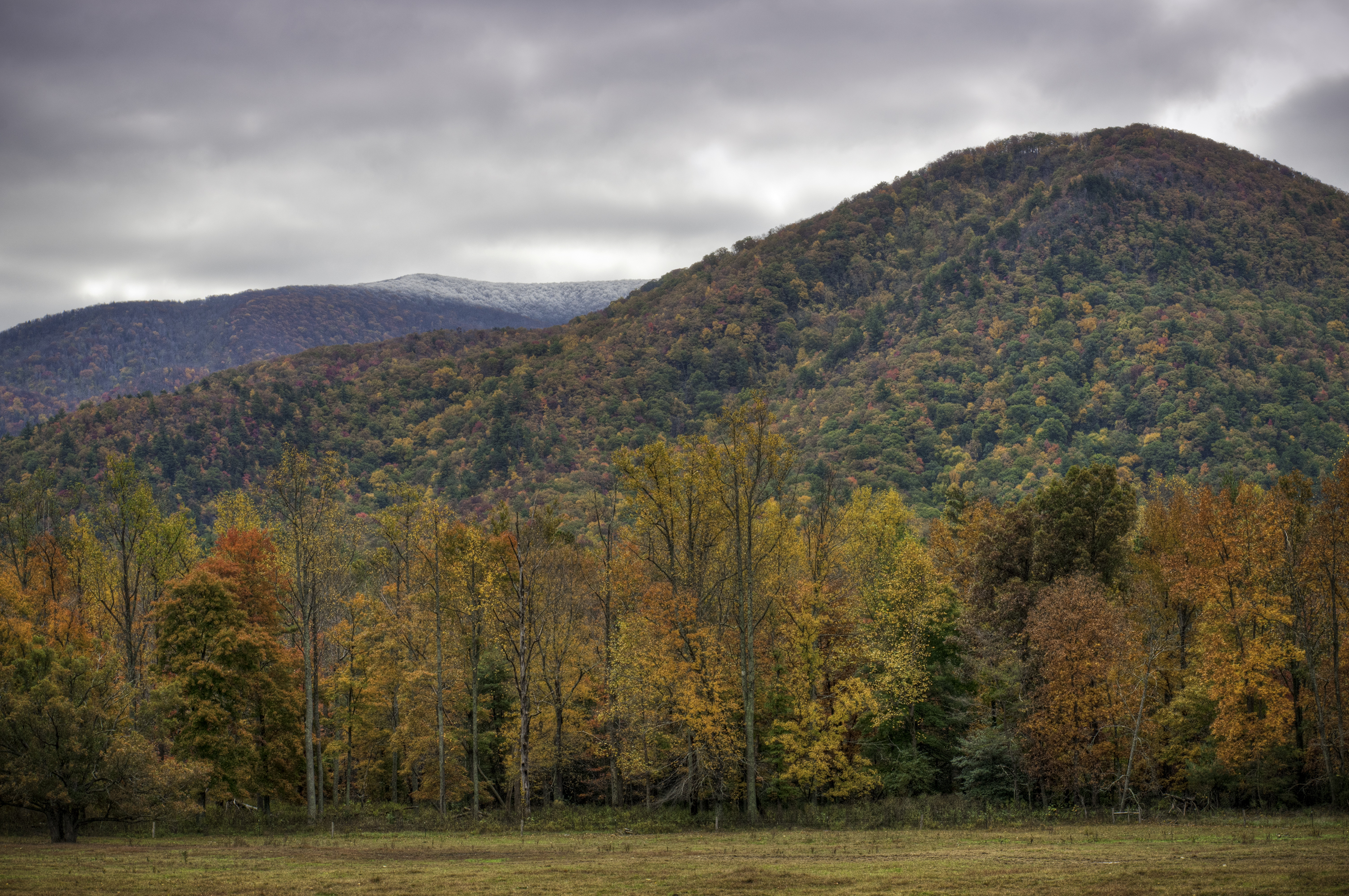 Cades Cove, Great Smoky Mountains, Gatlinburg, Tennessee, USA
