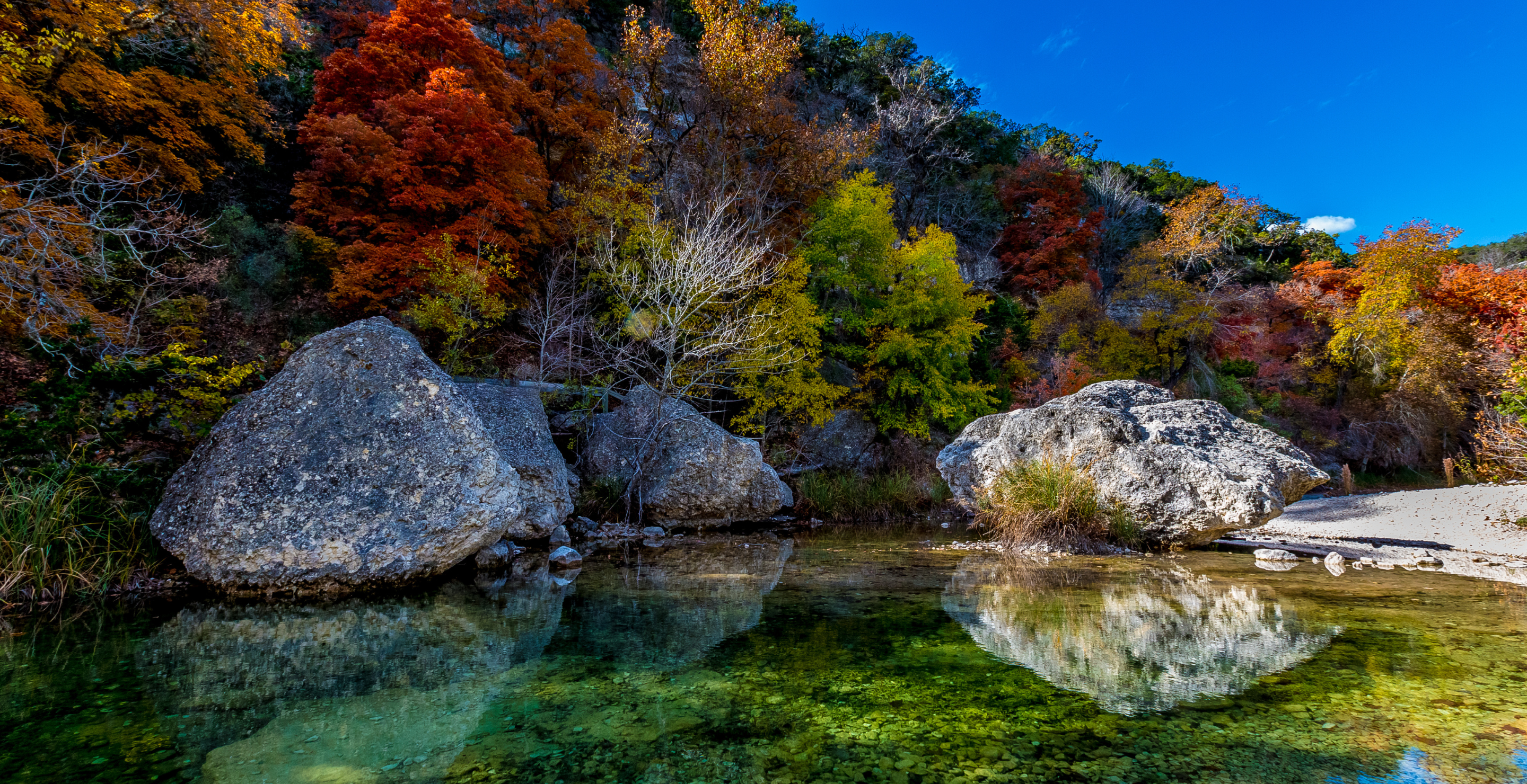 Lost Maples State Park