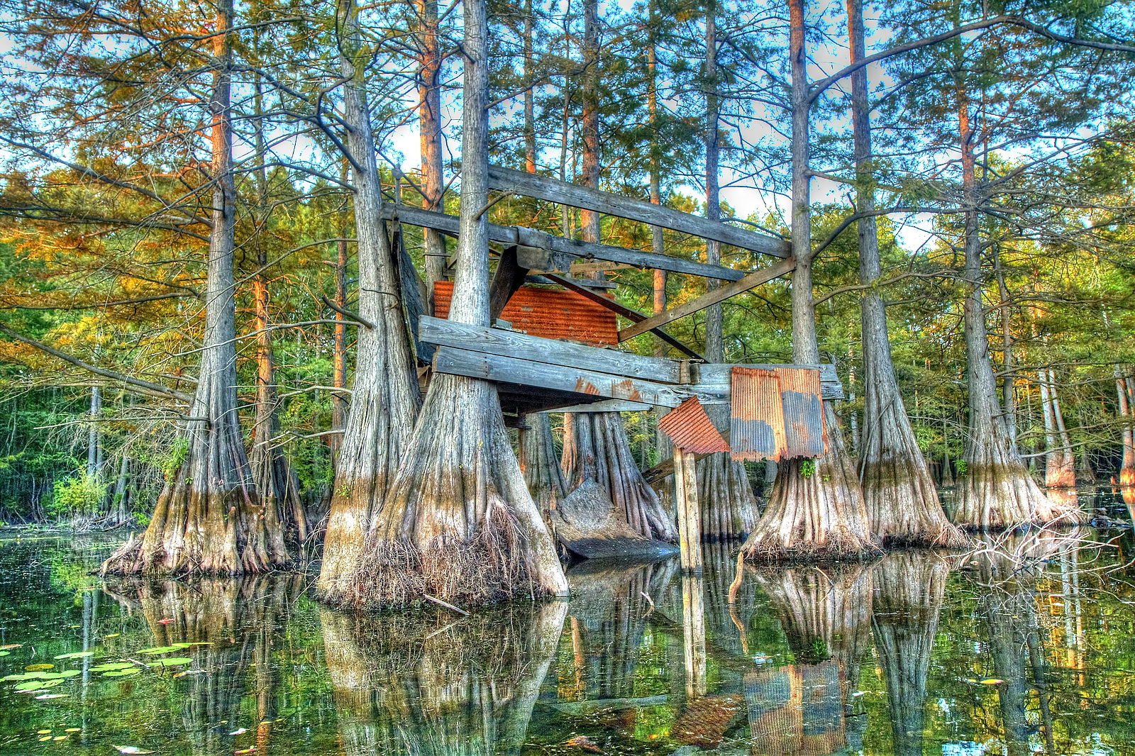 Finch Lake