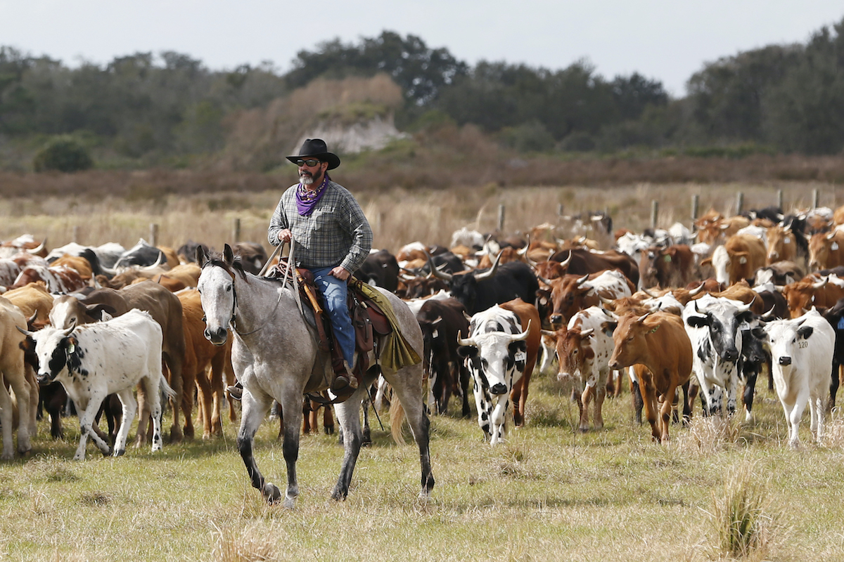 real cowboys