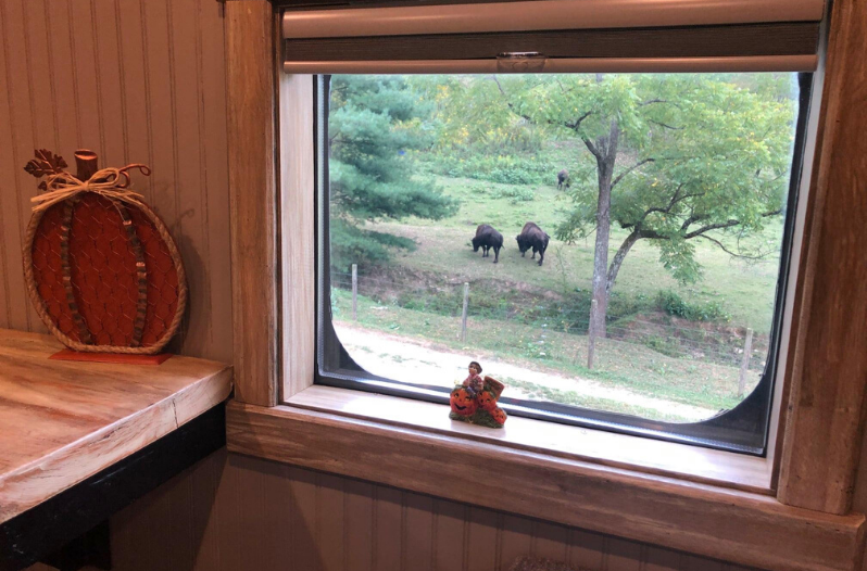 Buffalo Creek Vacations