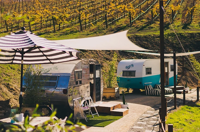 Alta Colina Vineyard