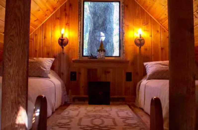 Ozark Tree Suite