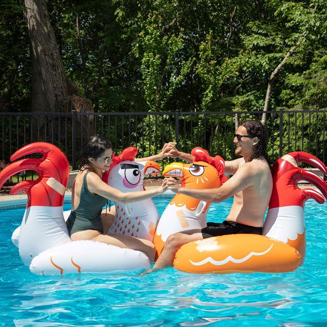 chicken fight