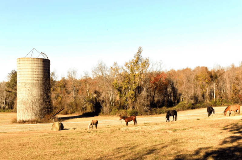 George Washington Virginia