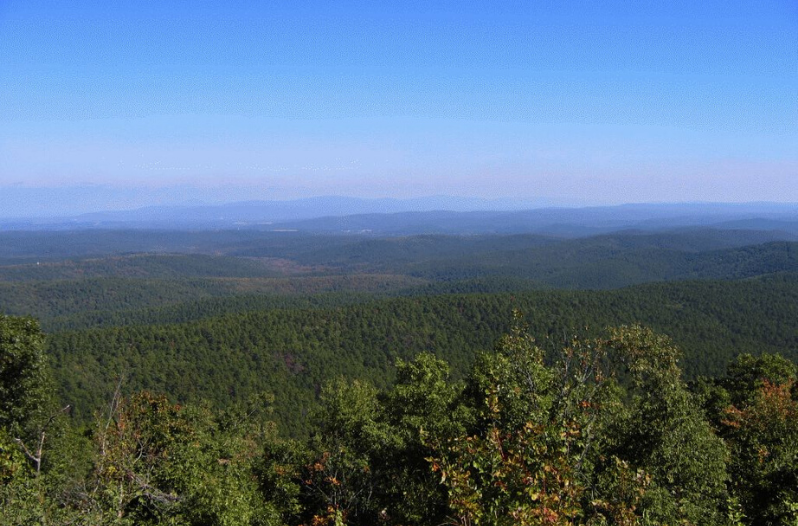 Ouachita National Forest