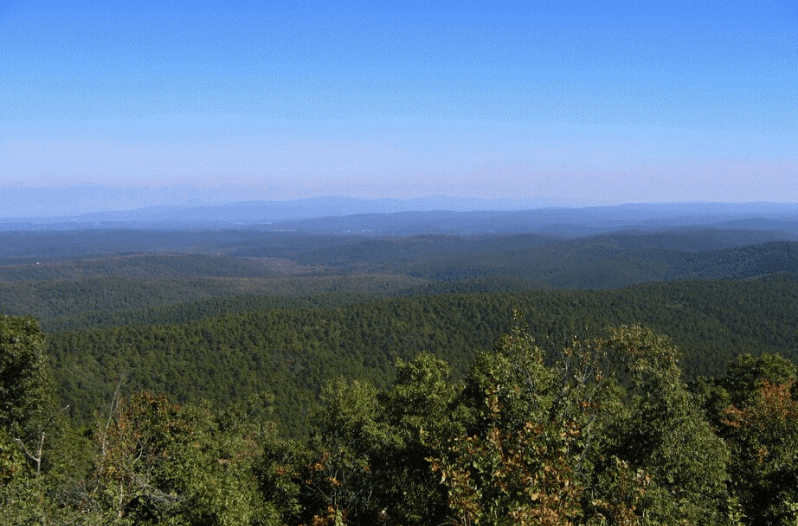 Ouachita National Forest