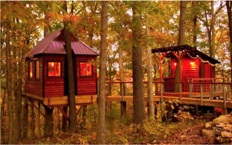Ozark Tree Suite