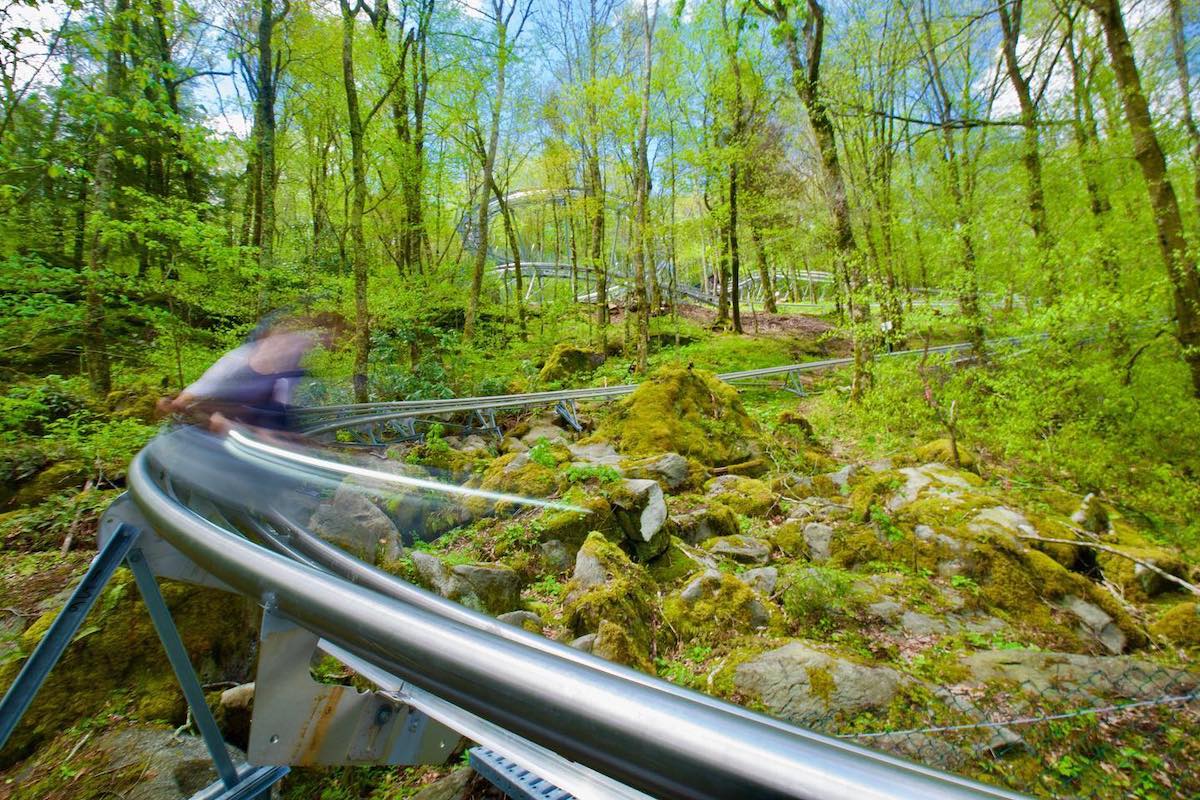 Wilderness Run Alpine Coaster