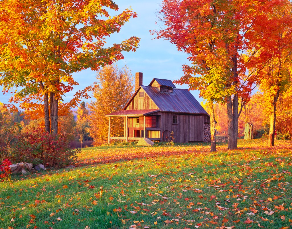 Day breaks on a sugar house and maple trees in the autumn country side of Vermont