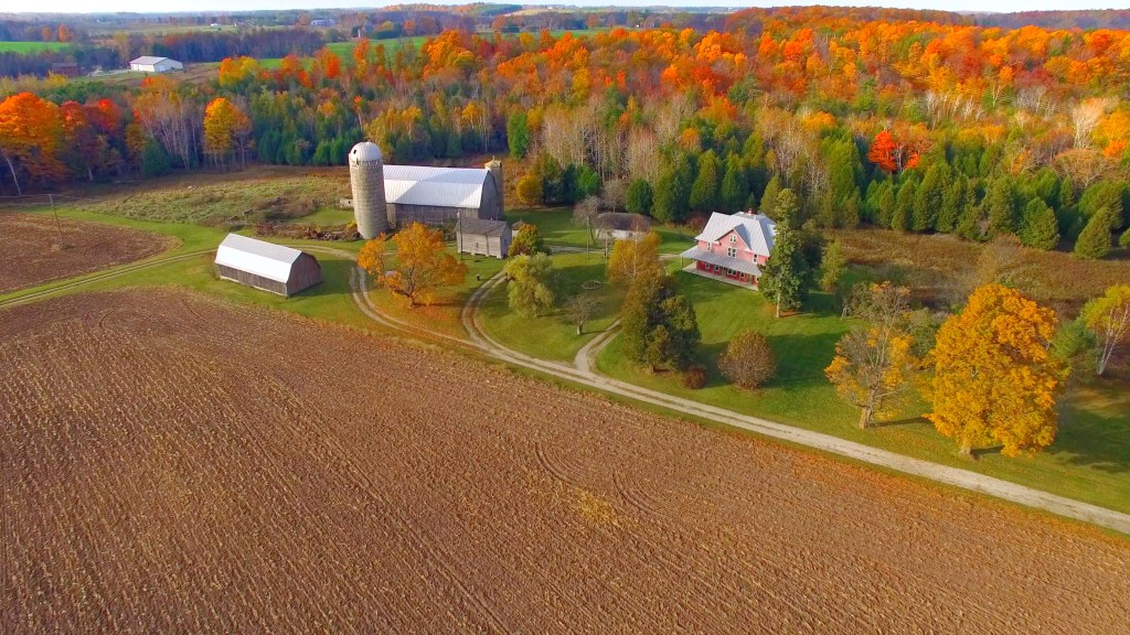 Colorful Autumn rural forest and farm landscape, With Amazing Autumn colors.