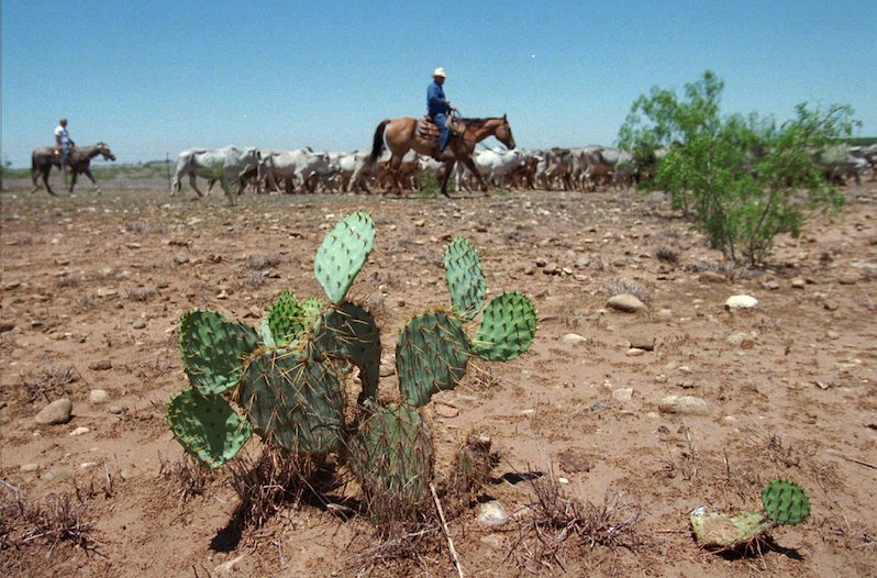 Texas megadrought