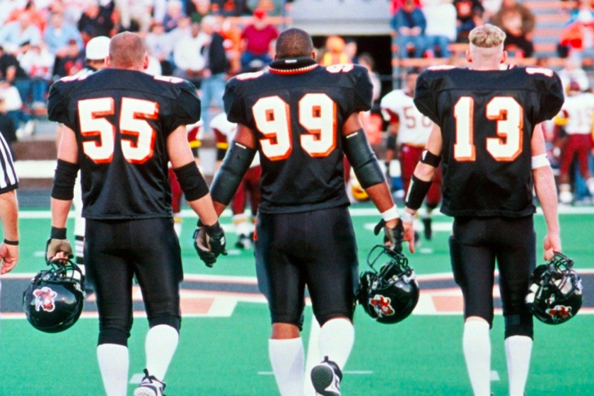 Go Tigers!