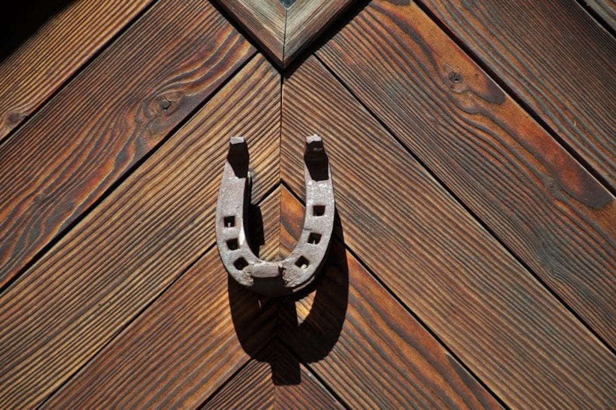 lucky horseshoe