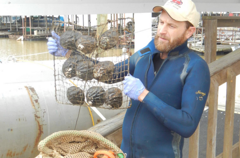 Tennessee Pearl Farm