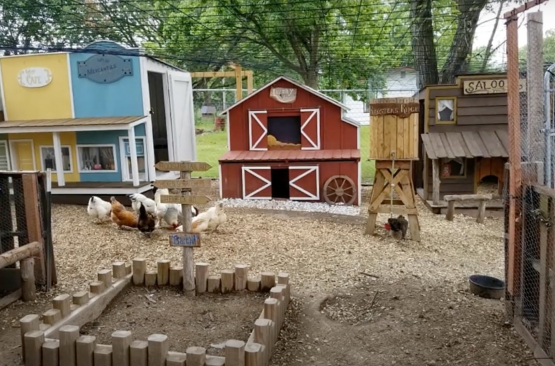 wild west chicken coop town