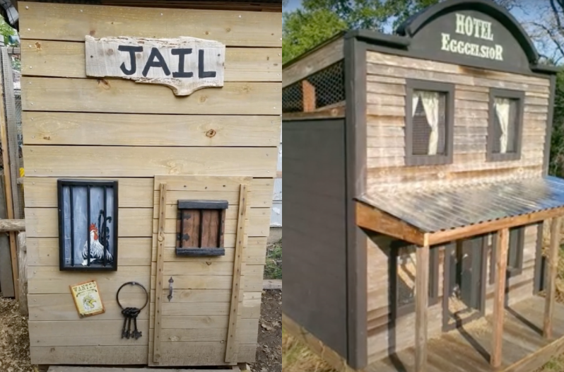 wild west chicken coop town